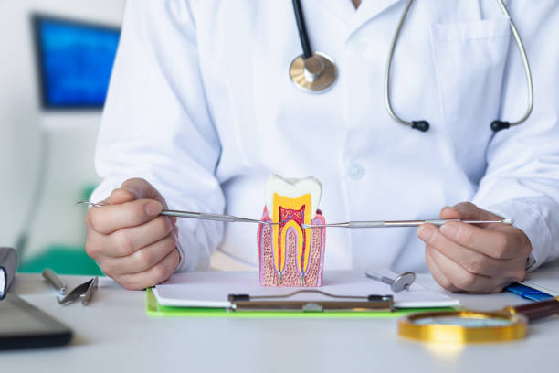 Best Emergency Wisdom Teeth Removal in Trinity, NC